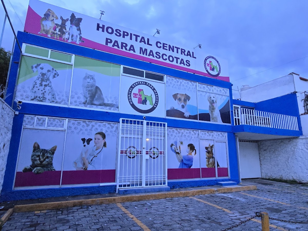 HOSPITAL CENTRAL PARA MASCOTAS