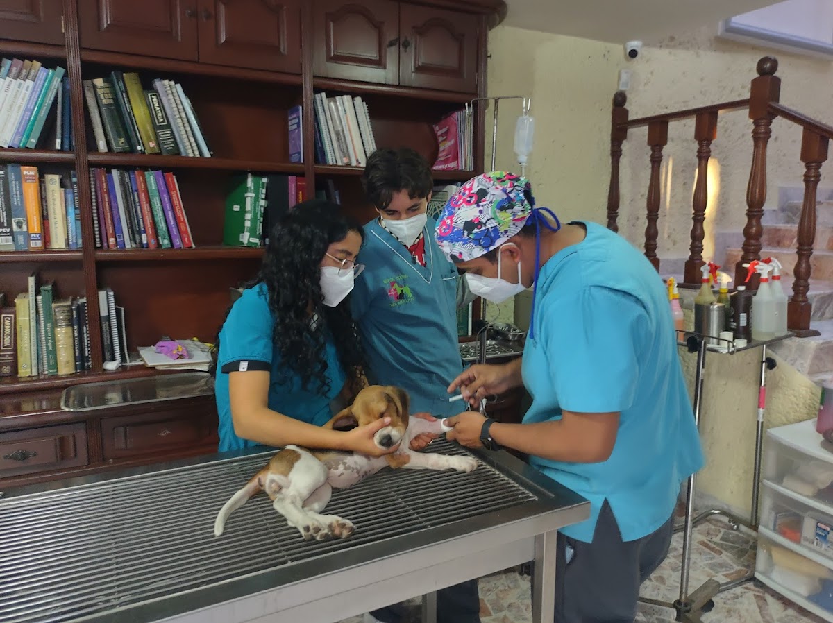 HOSPITAL CENTRAL PARA MASCOTAS — foto 3