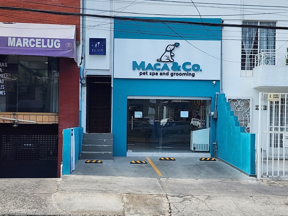 Servicios Veterinarios Eläin — foto 3