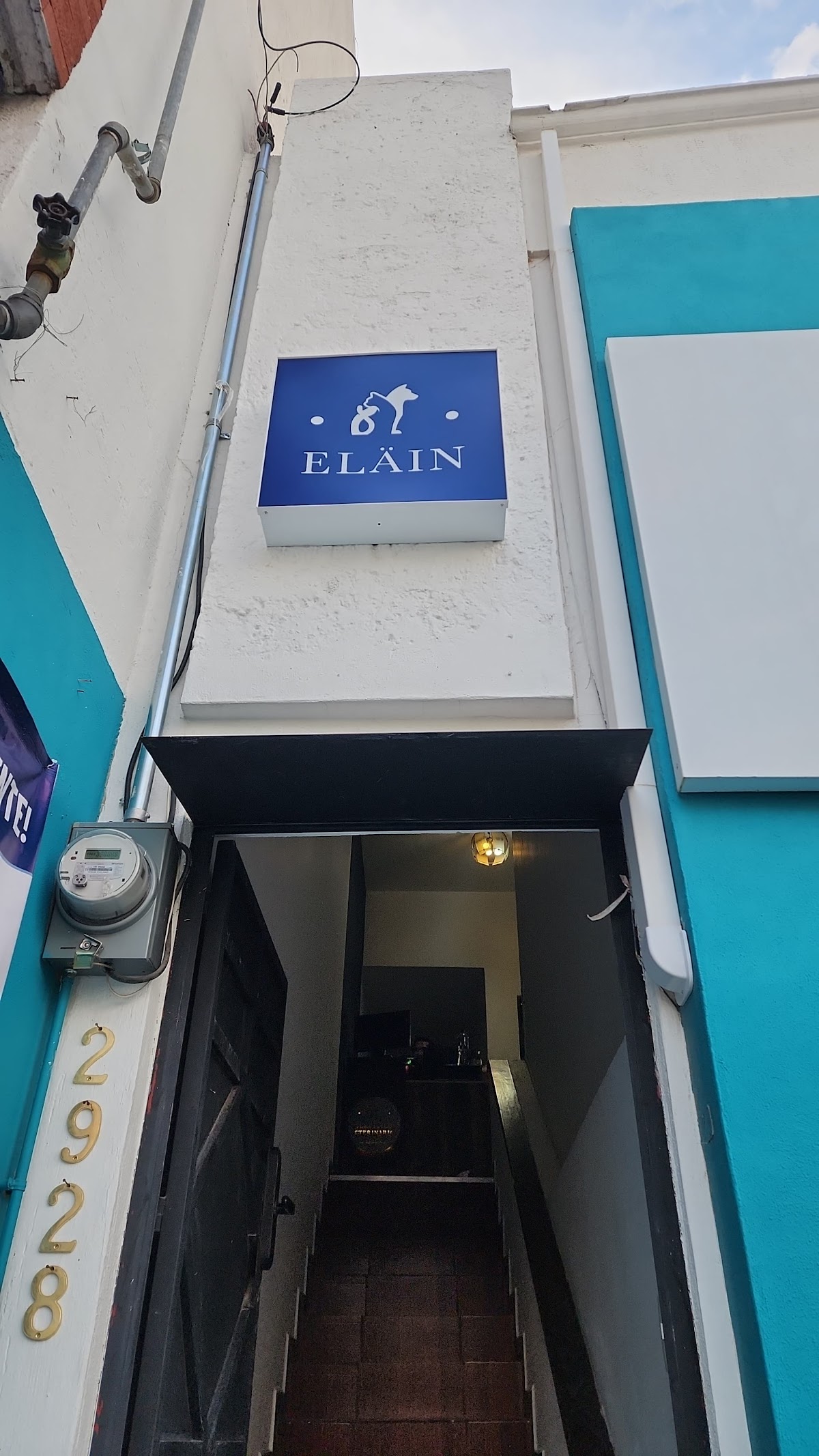 Servicios Veterinarios Eläin — foto 4