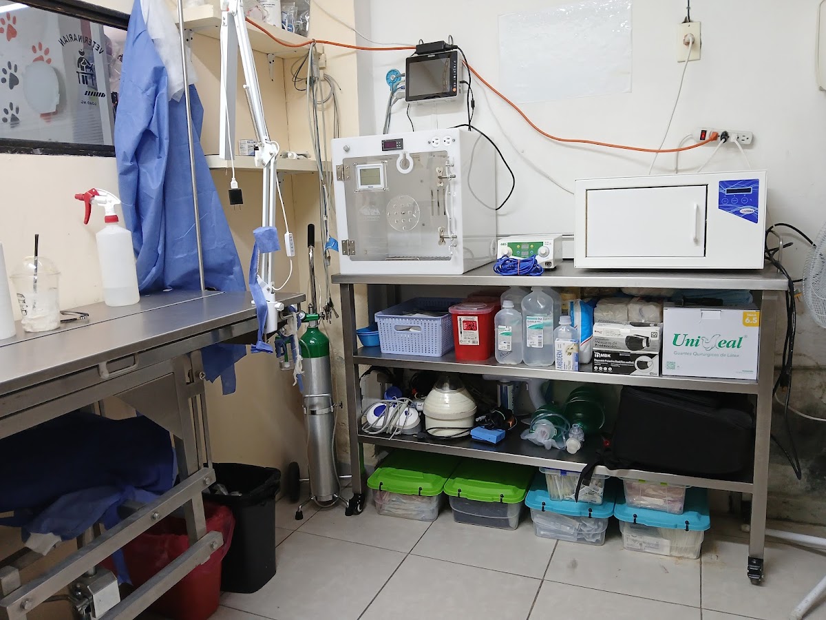 Healthy Animals Veterinaria