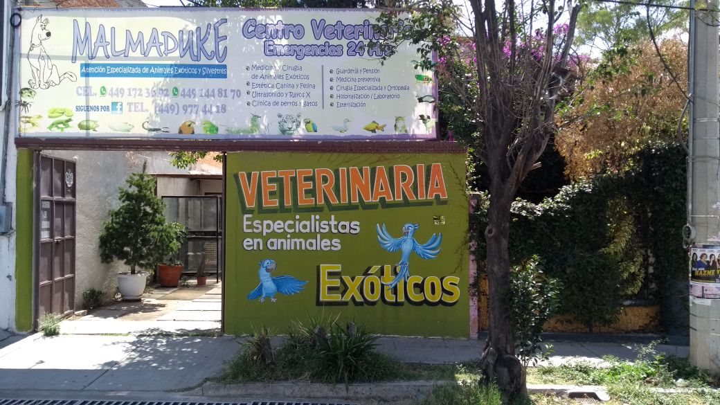 CVM ( Malmaduke) Exotic Vet Center