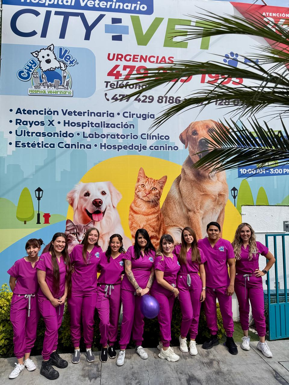 Hospital Veterinario CityVet — foto 2