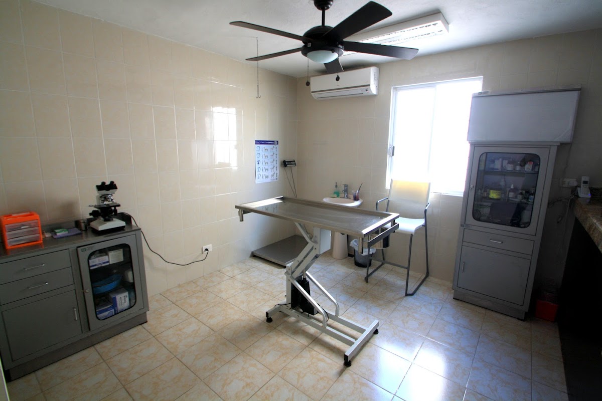 HOSPITAL VETERINARIO AMÉRICAS — foto 4