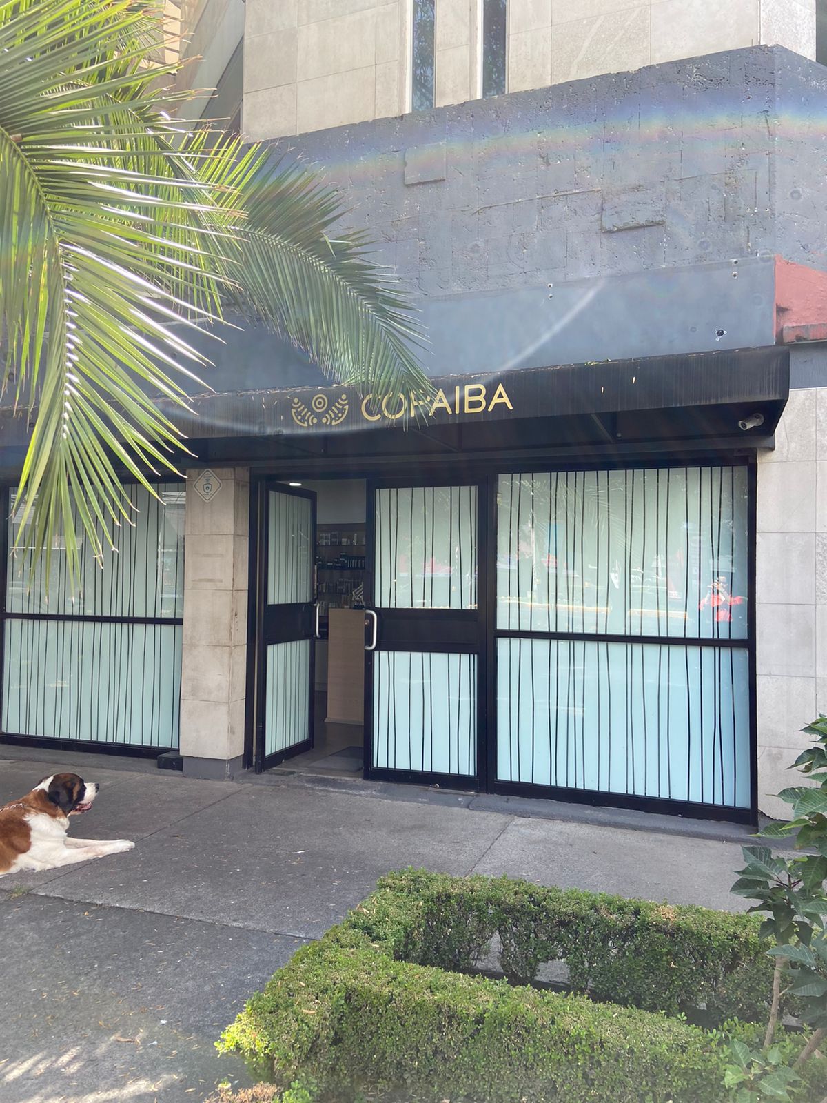 COPAIBA Clínica Dermatológica — foto 4