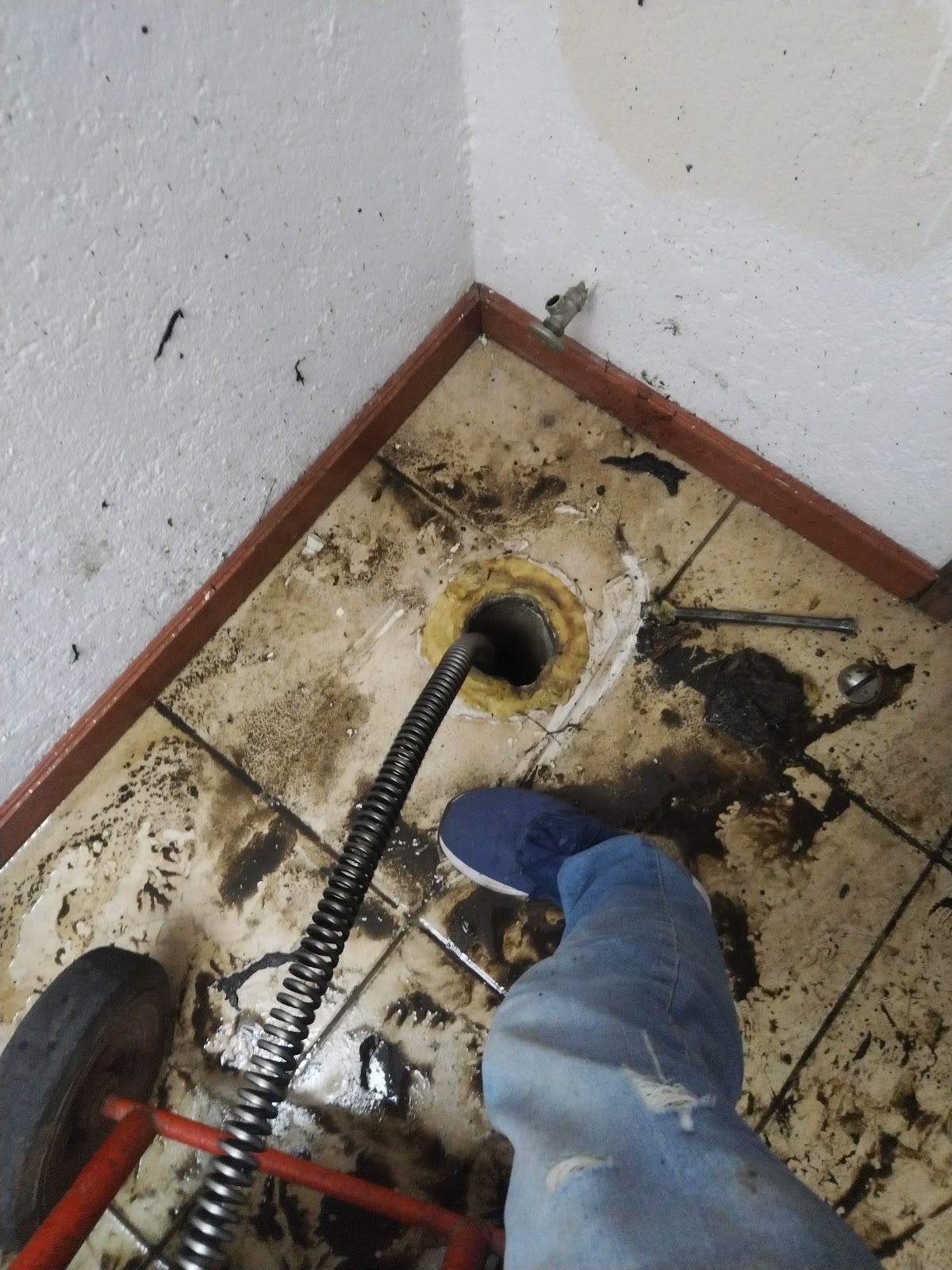 DRENAJES EXPRÉS — foto 4