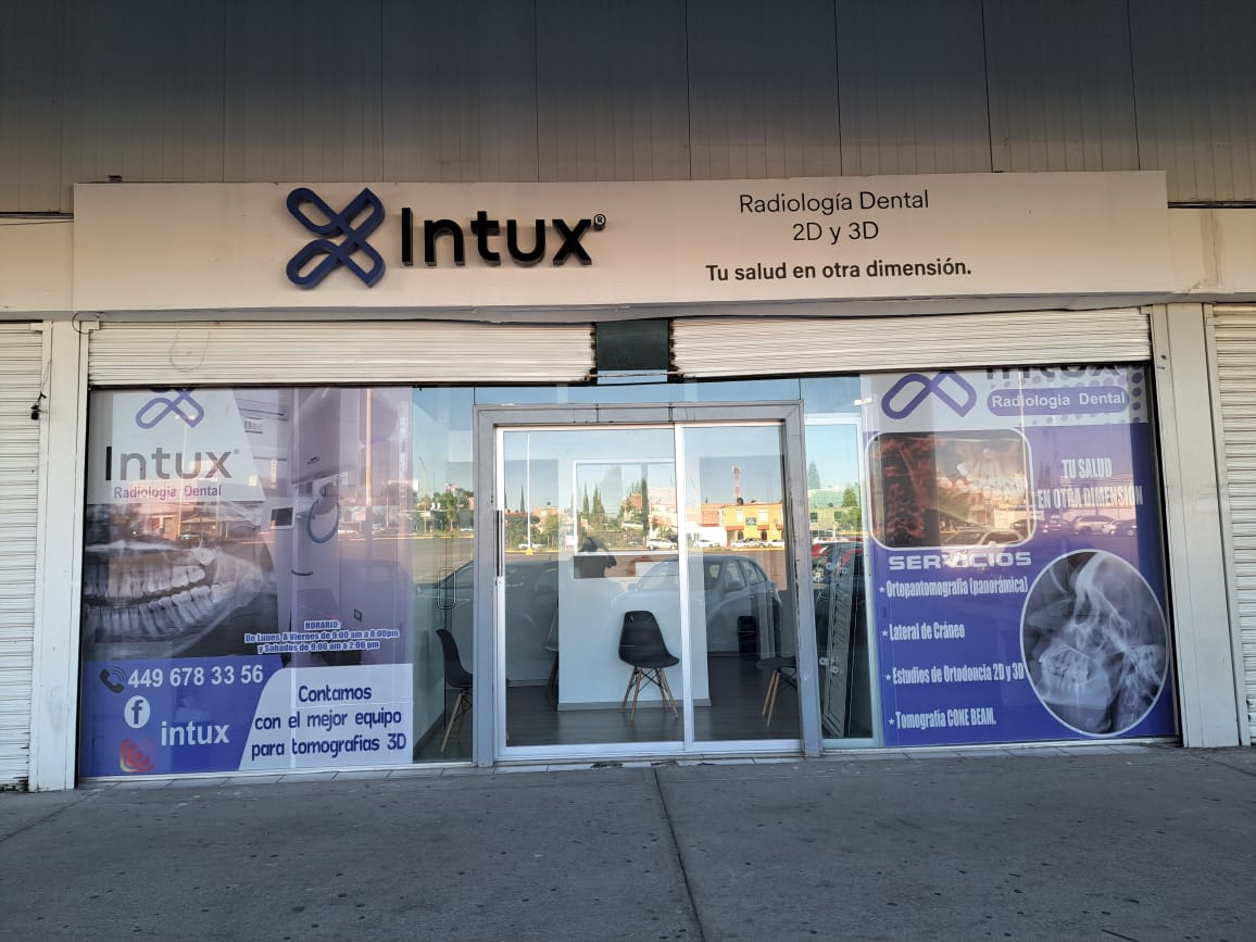 Intux Sur