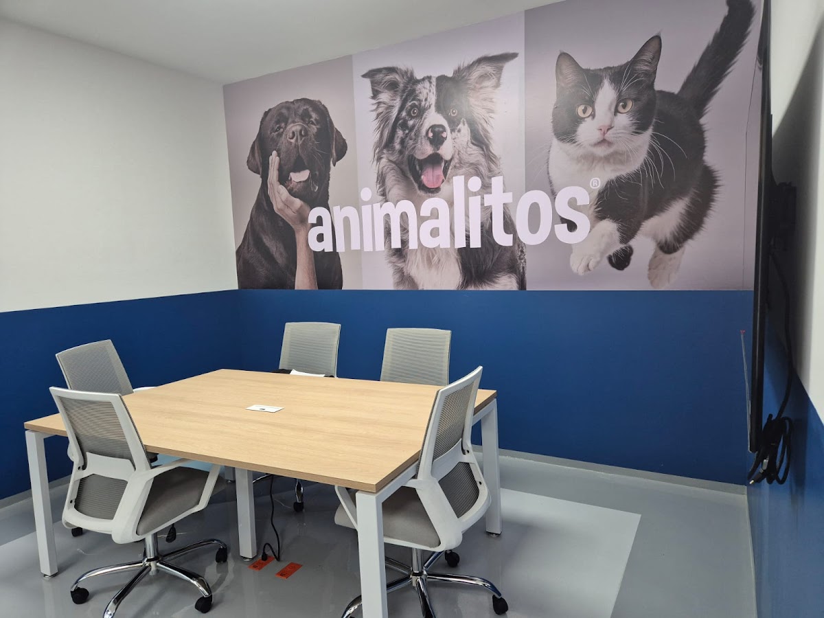 Animalitos Hospital Veterinario 24 hrs Puebla — foto 4
