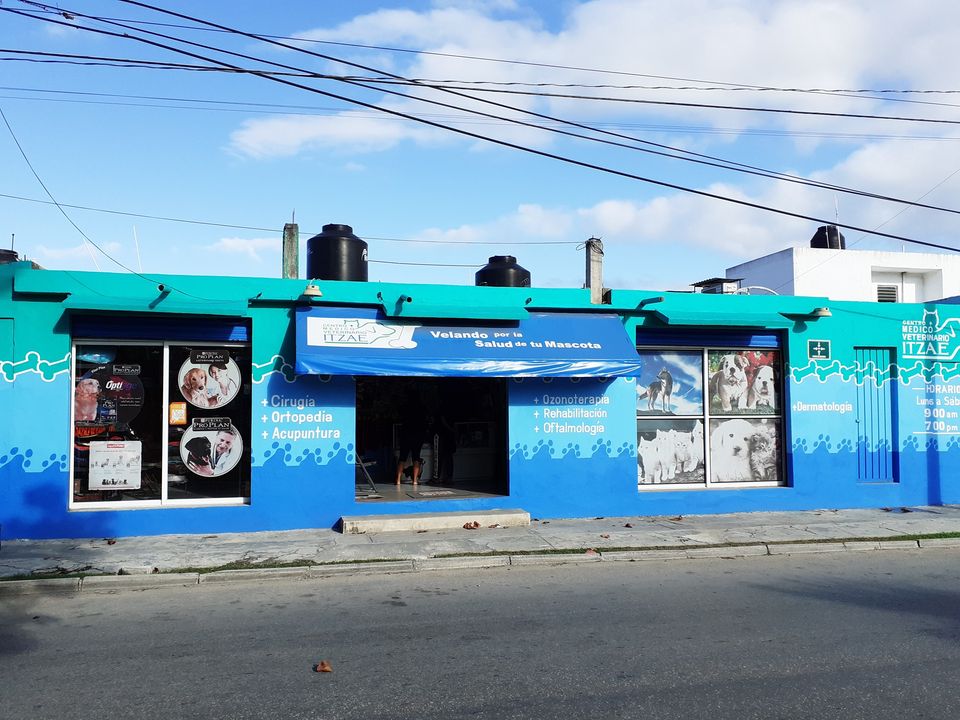 Centro Médico Veterinario Itzae