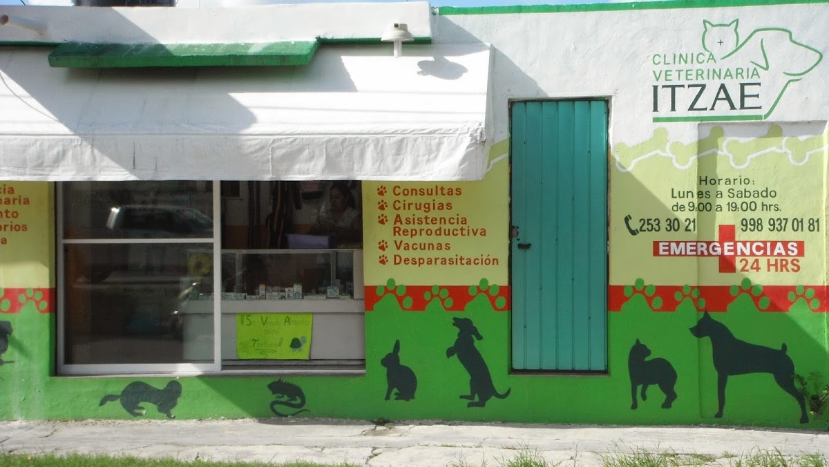 Centro Médico Veterinario Itzae — foto 2