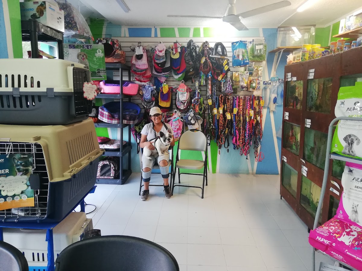 Centro Médico Veterinario Itzae — foto 3