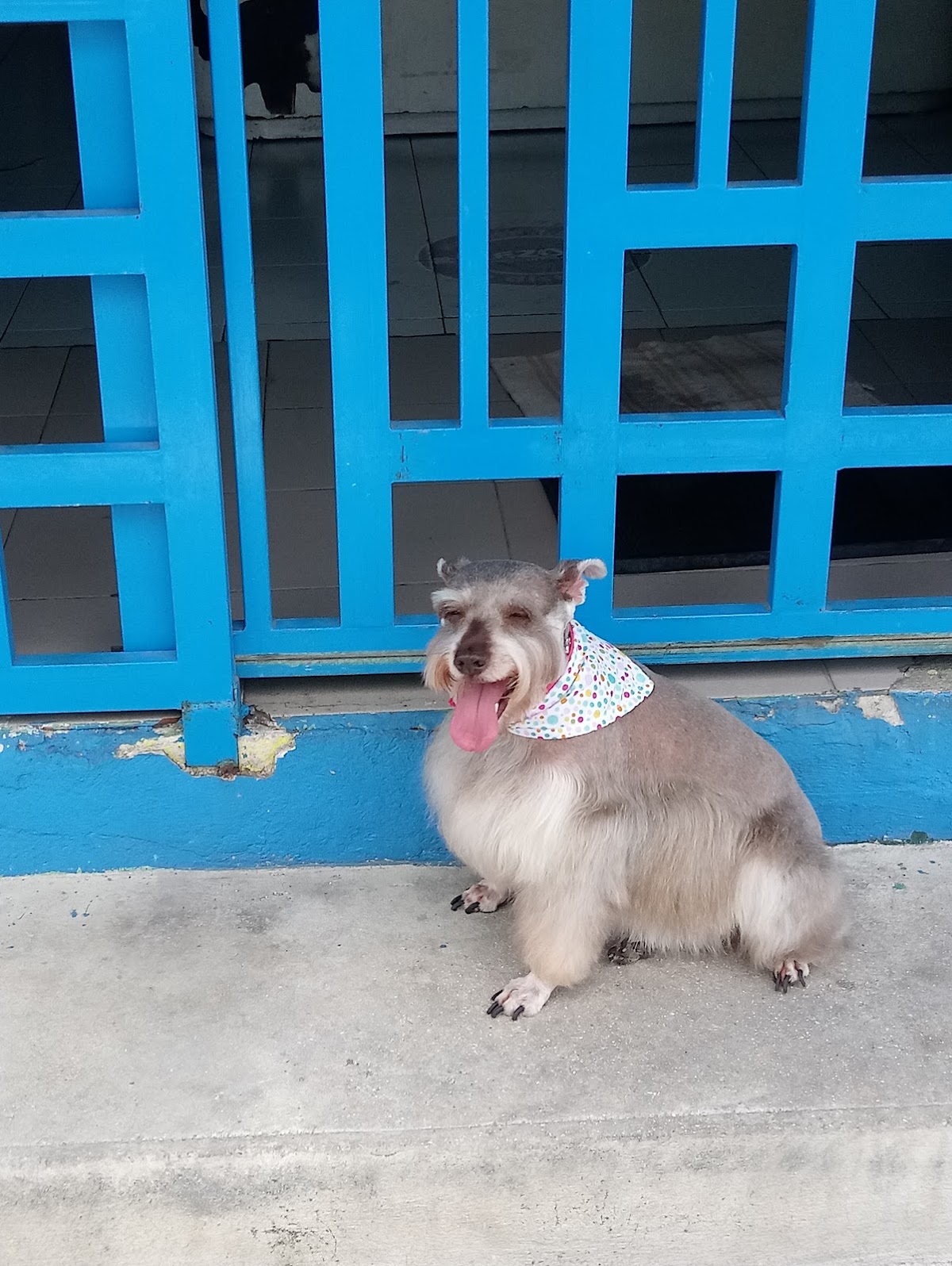 Centro Médico Veterinario Itzae — foto 4