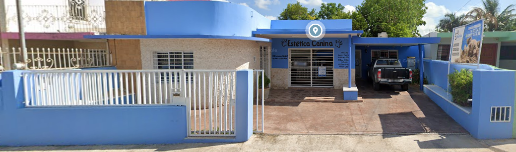 Consultorio veterinario y estética canina Huellas — foto 3