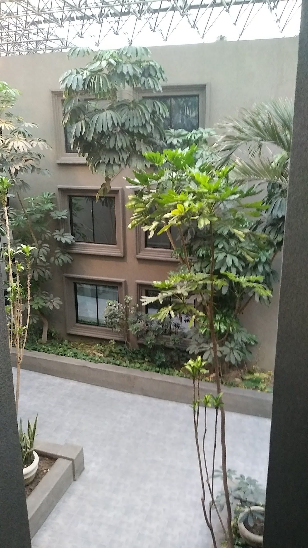 PLAZA MÉDICA CUMBRES — foto 3