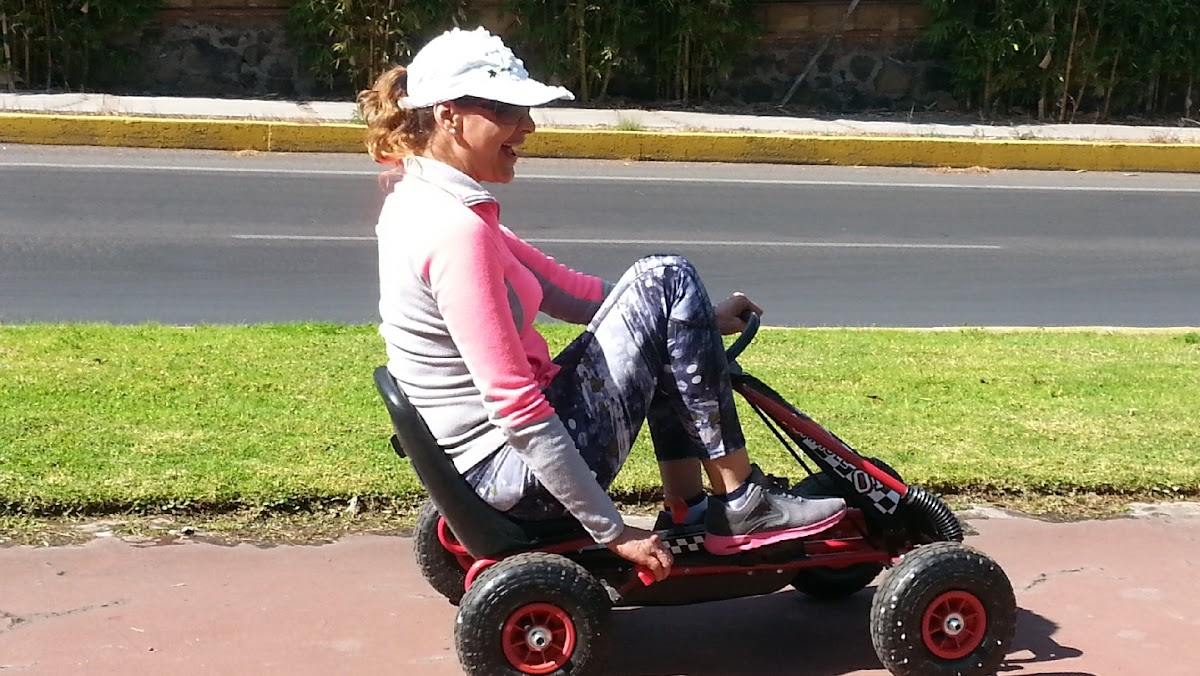 Multiservicio automotriz altozano, Otras zonas