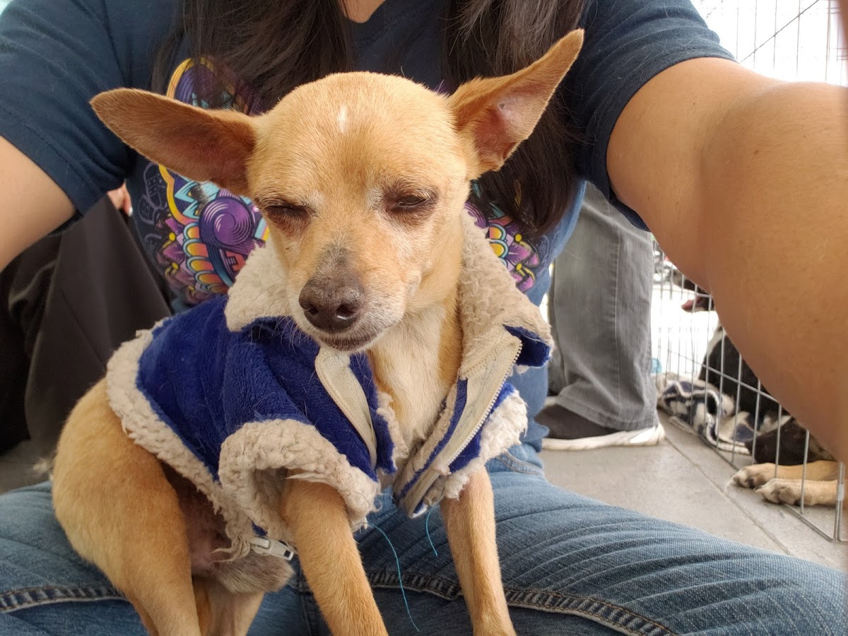 Cats&Dogs Veterinaria — foto 2