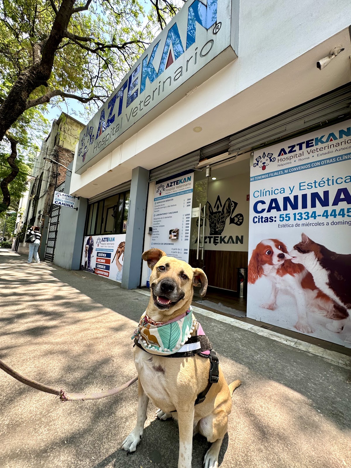 Aztekan Clínica Veterinaria Roma — foto 4