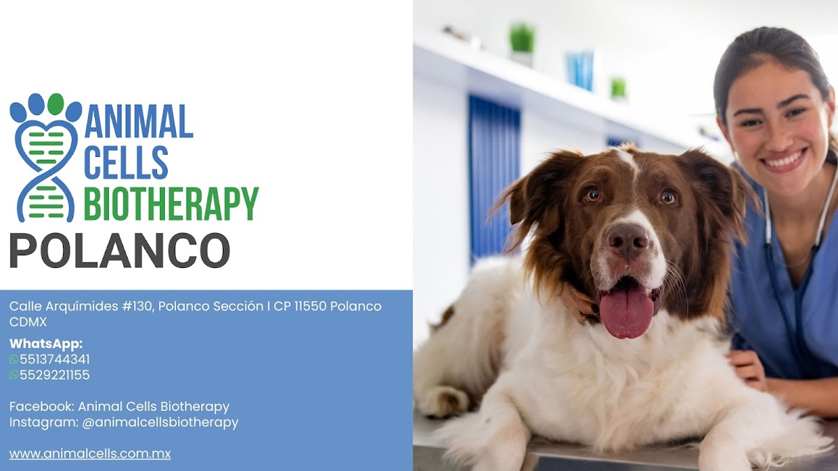 Animal Cells Biotherapy Polanco