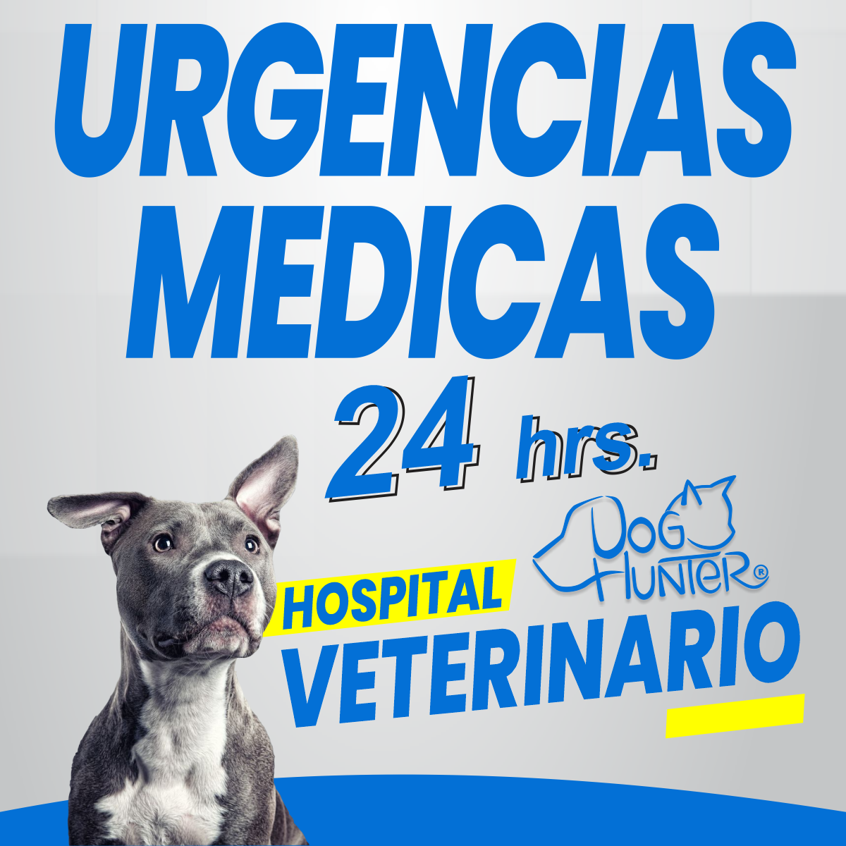 DOG HUNTER HOSPITAL VETERINARIO