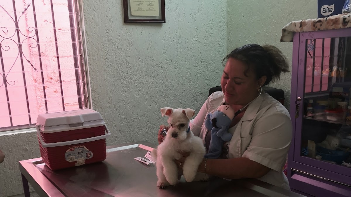 Dra. Shirley Fajardo Centro Integral Veterinario — foto 3