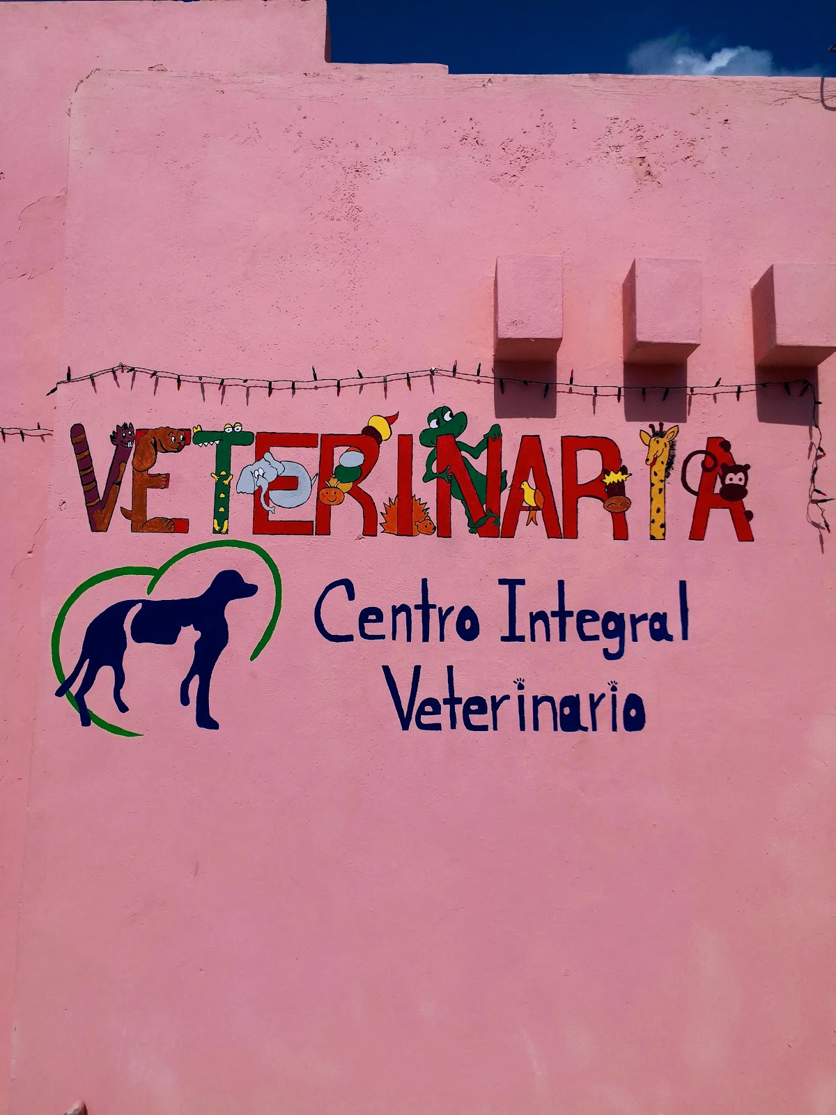 Dra. Shirley Fajardo Centro Integral Veterinario — foto 4