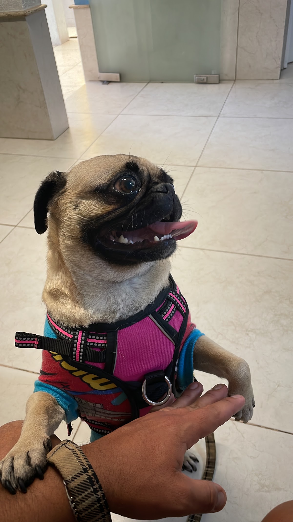 Centro Veterinario de Especialidades — foto 4