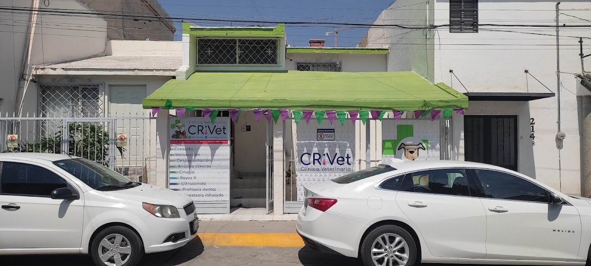 CRiVet Clínica Veterinaria — foto 3