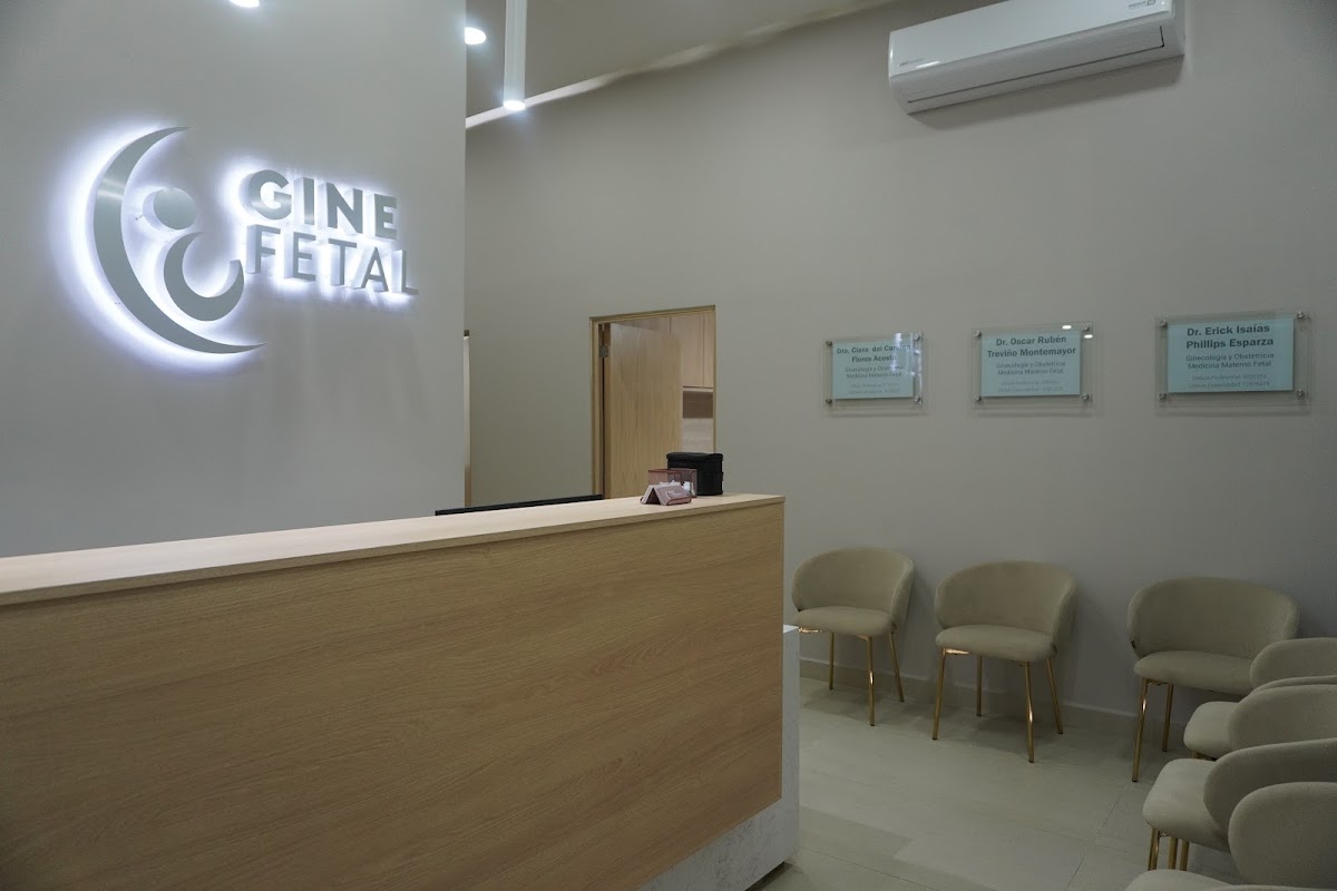 Dra Clara Flores Ginecóloga - GineFetal — foto 3