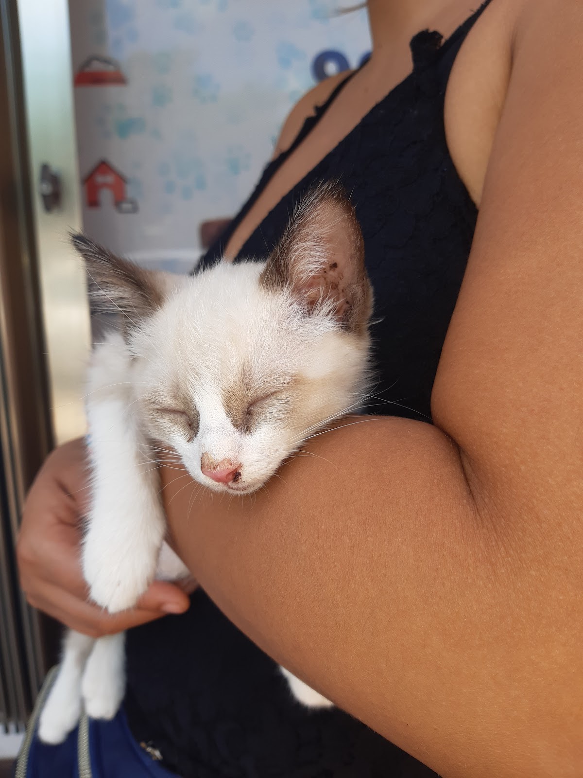 Centro Veterinario Sur — foto 3