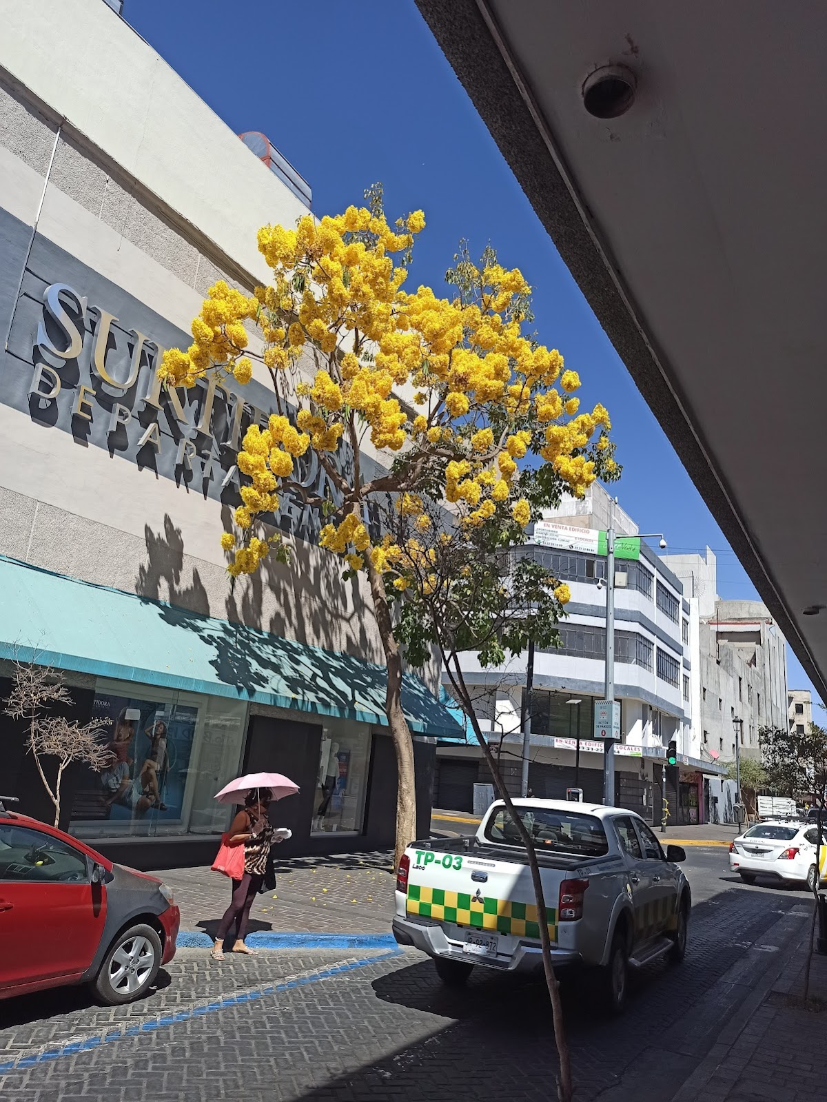Surtidora Departamental | Guadalajara Centro — foto 4