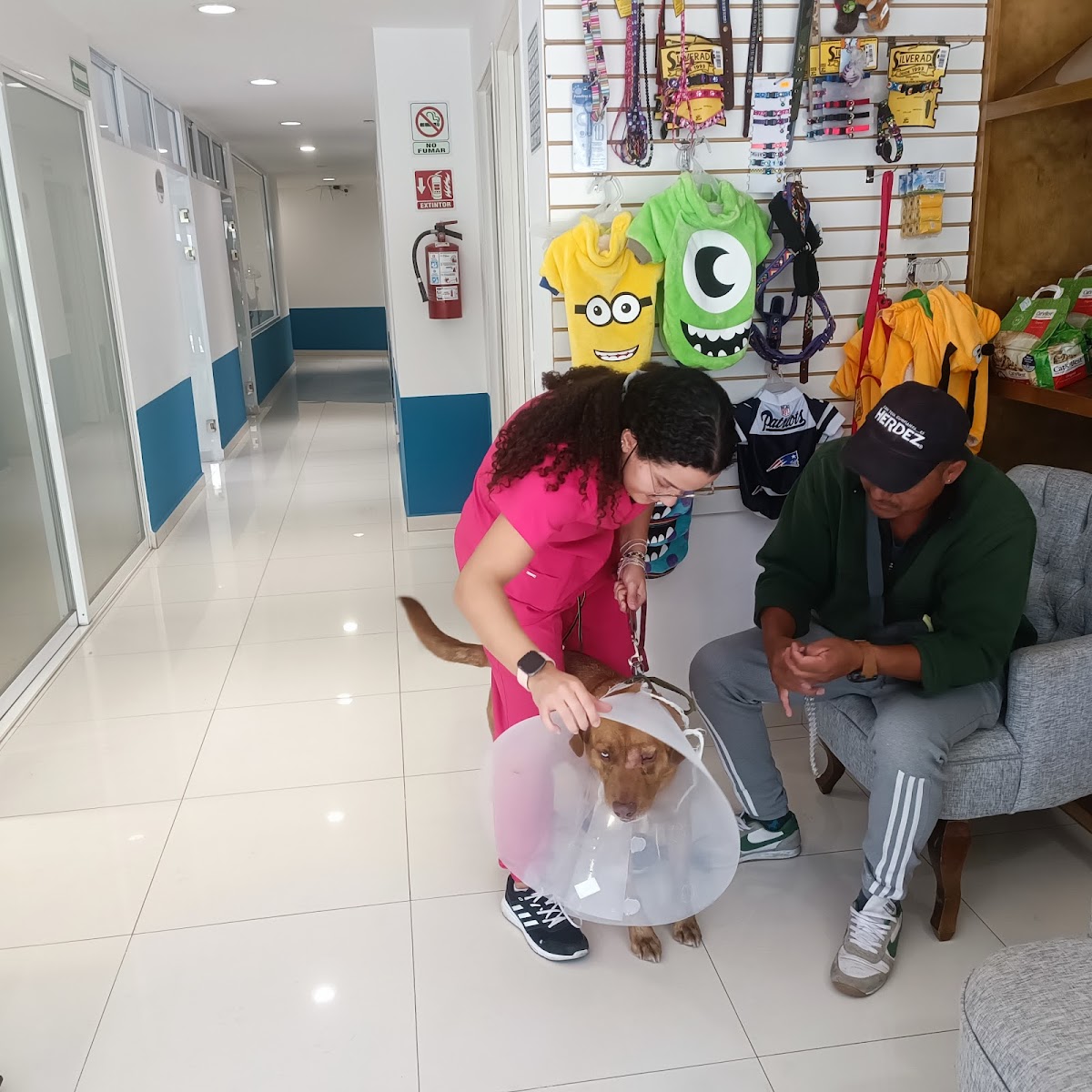 Pet Path-Hospital Veterinario