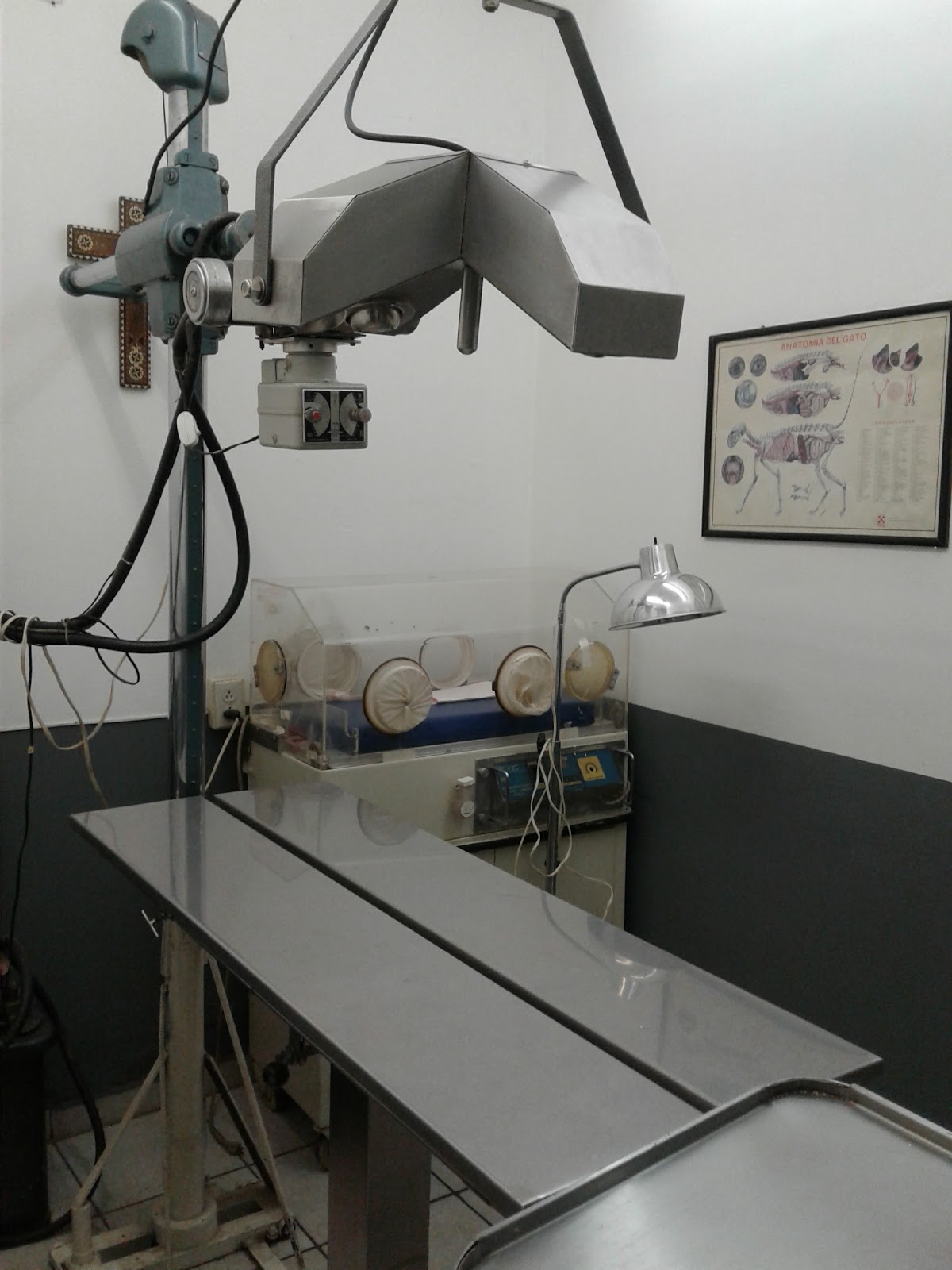 CLÍNICA VETERINARIA DE ALEMÁN — foto 3