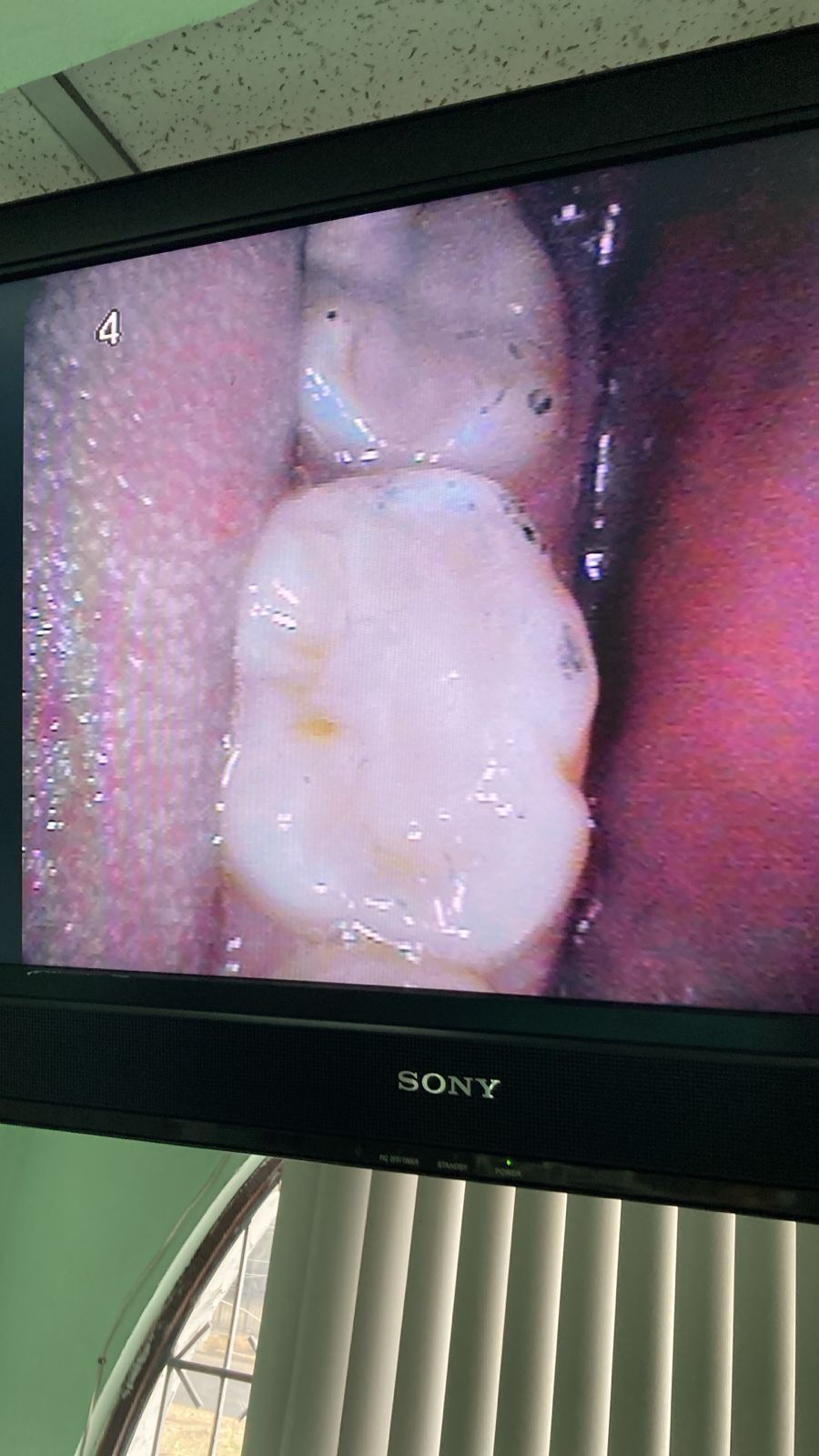 CIRUJANO DENTISTA LAS 24 HRS GUADALAJARA — foto 2