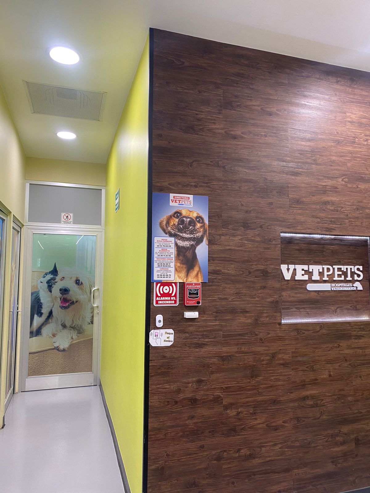 Hospital Veterinario Vetpets Avila Camacho — foto 2