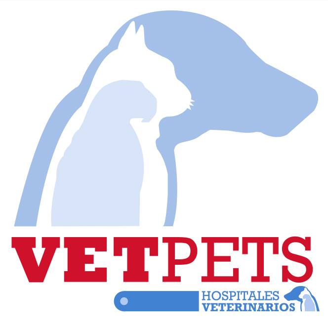 Hospital Veterinario Vetpets Avila Camacho — foto 4