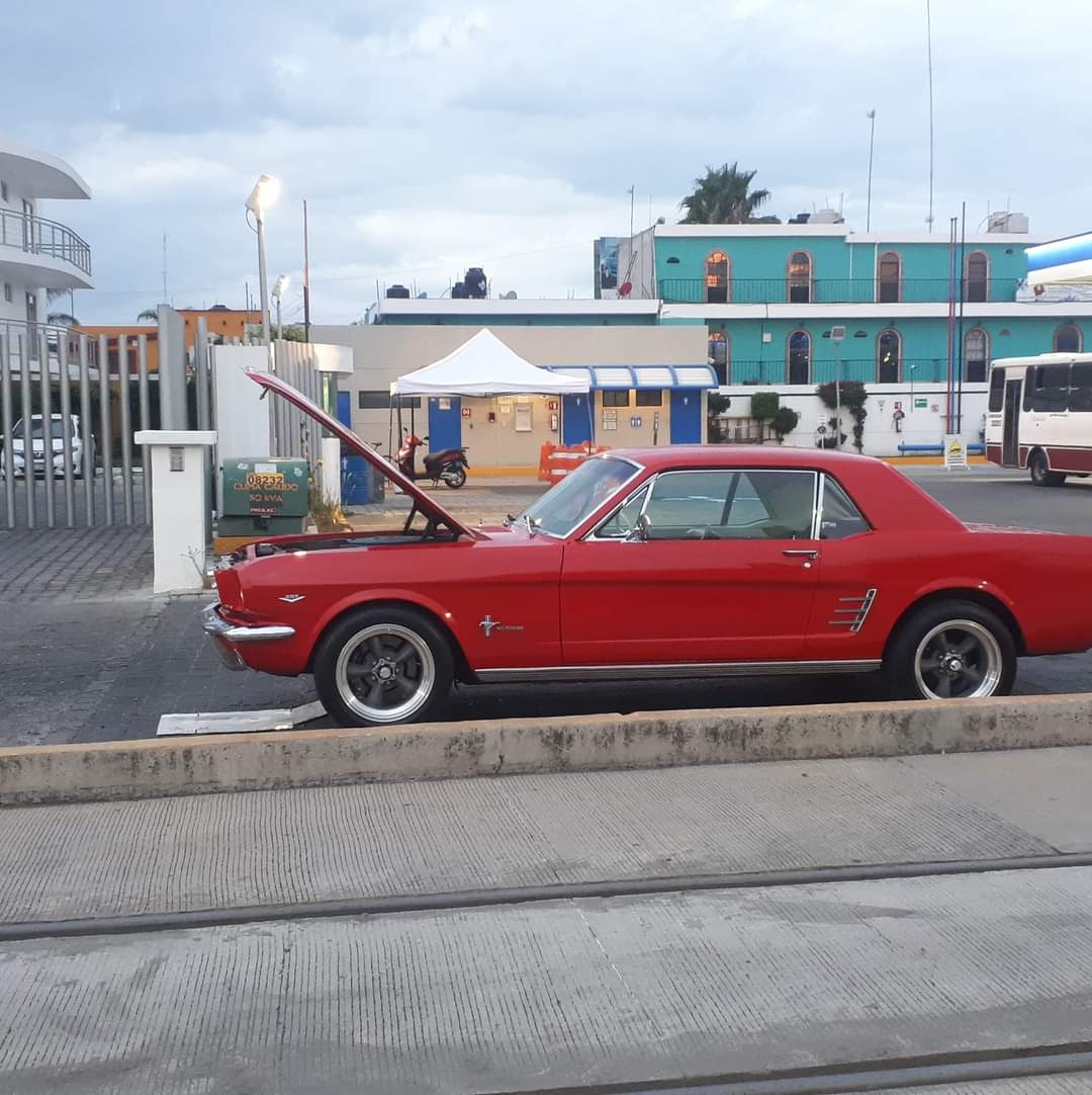 Servicio Eléctrico Automotriz "Herrera" — foto 3