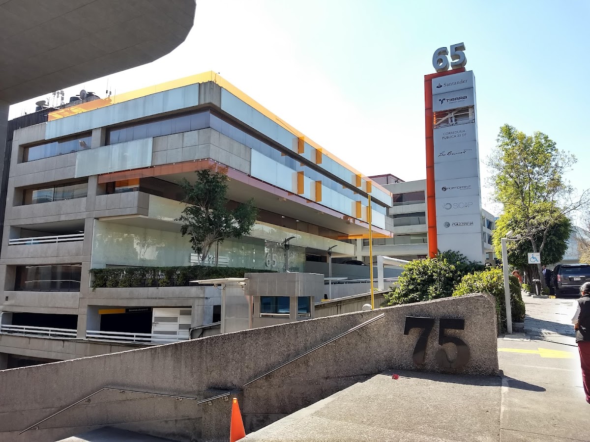 Bosques De Duraznos 65, Polanco