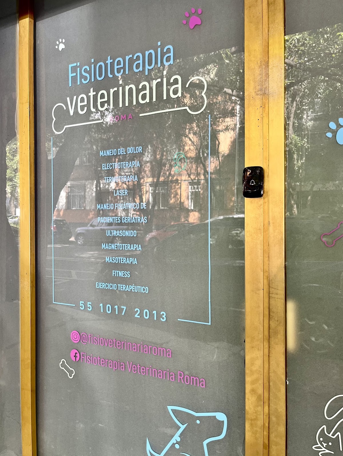 Fisioterapia Veterinaria Roma — foto 3