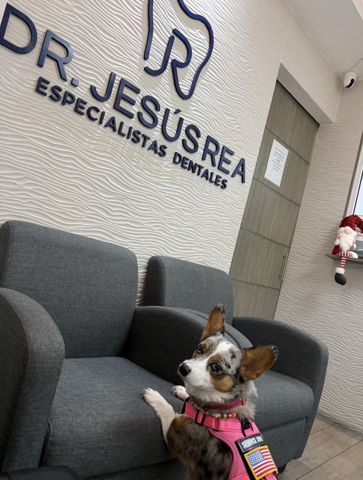 Dr. Jesús Rea Garza | Dentista Especialista en Ortodoncia — foto 3