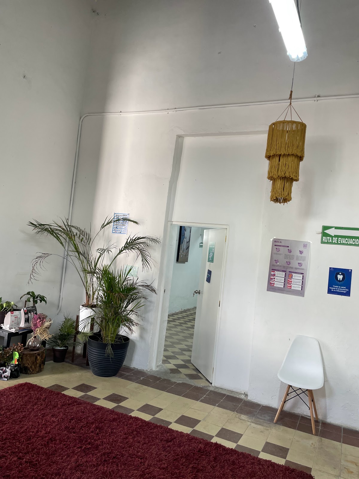 CONSULTORIO DENTAL Santa María de Guadalupe — foto 3