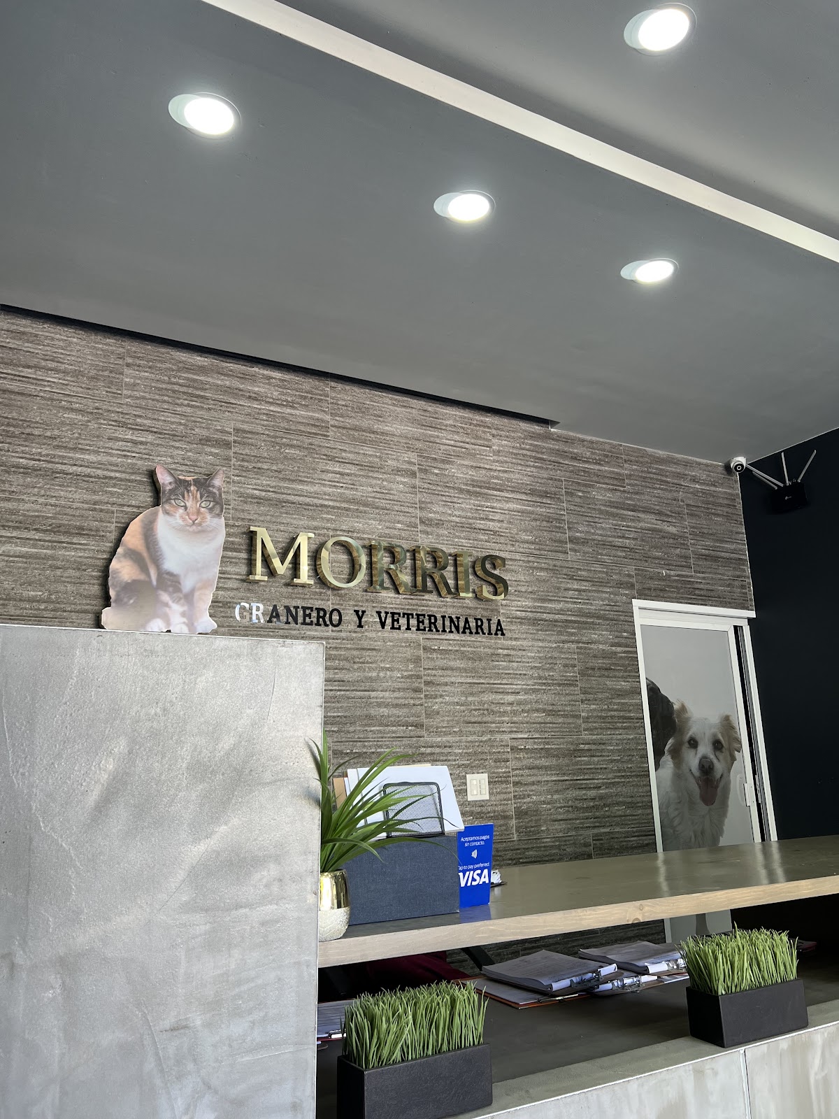Morris Granero y Veterinaria / Granero Libertad — foto 3