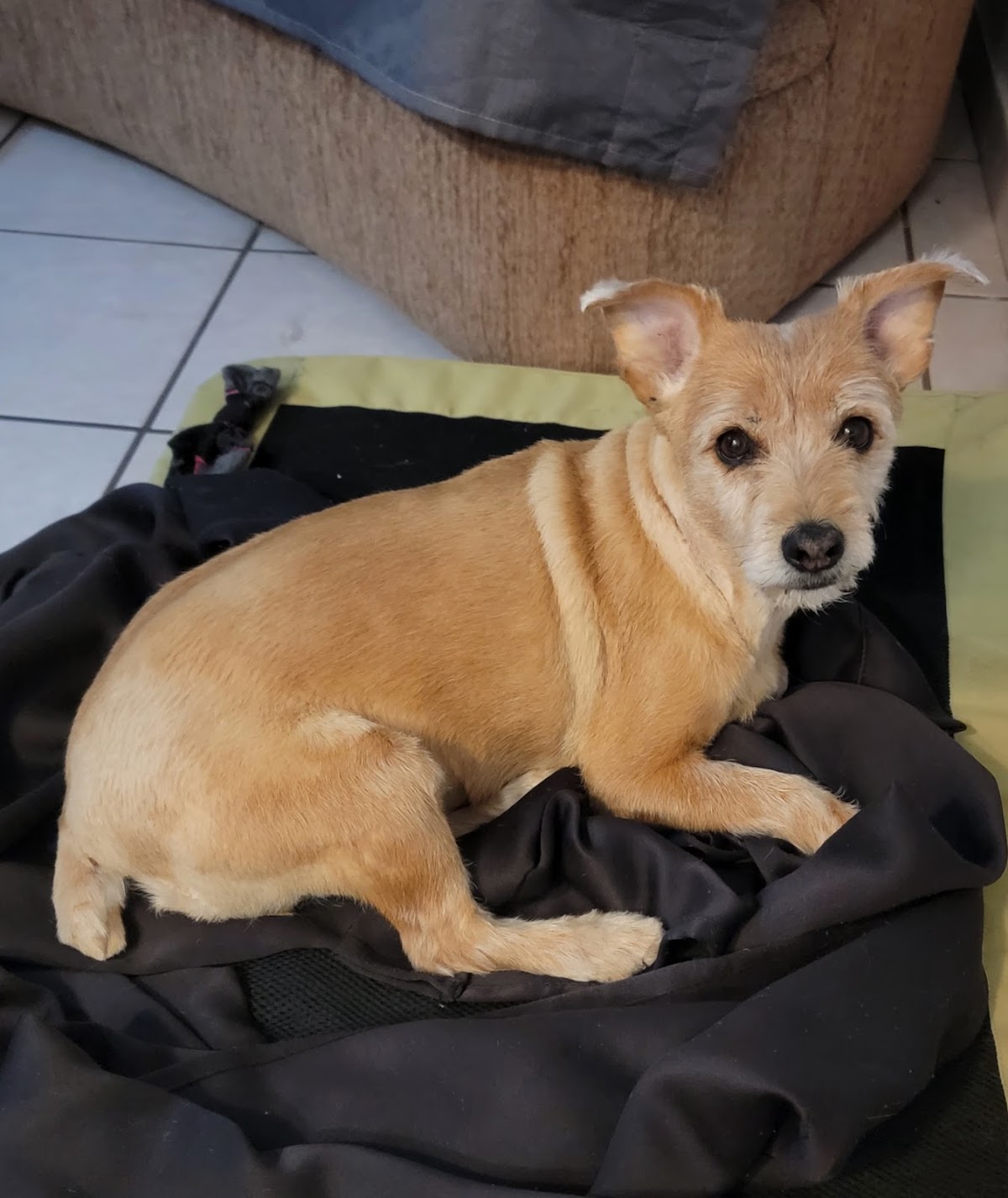 Morris Granero y Veterinaria / Granero Libertad — foto 4