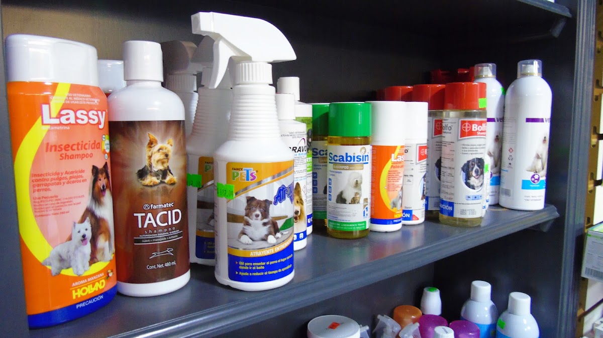 Clinica Veterinaria Tabachines — foto 3