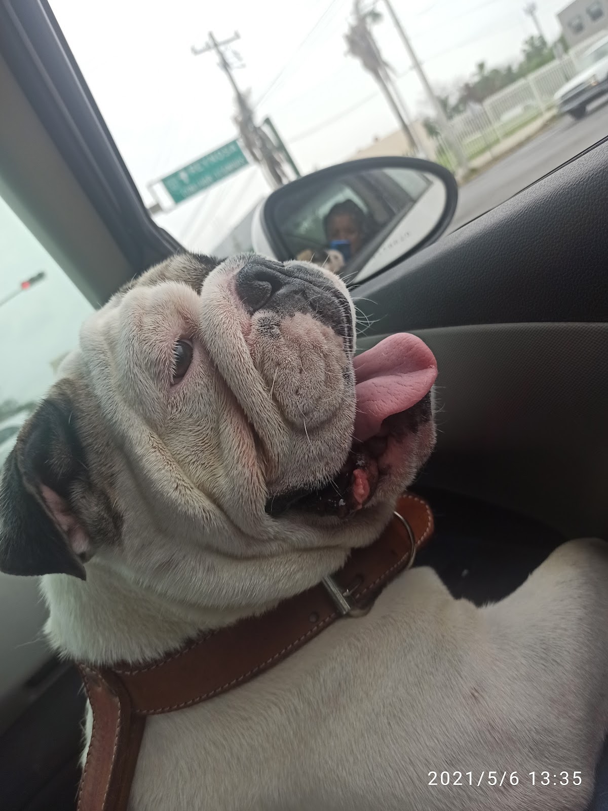 Clínica Veterinaria — foto 2