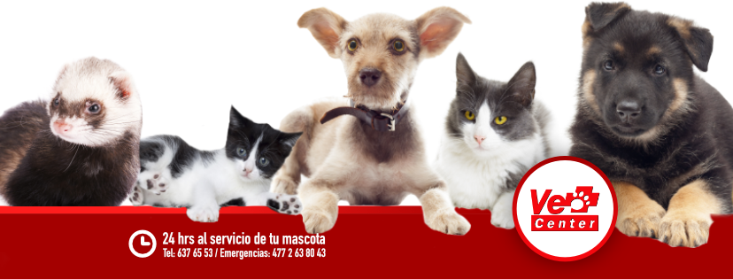Vet Center León