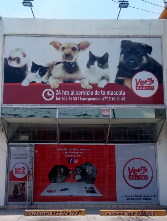 Vet Center León — foto 2