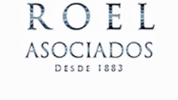 Roel Asociados