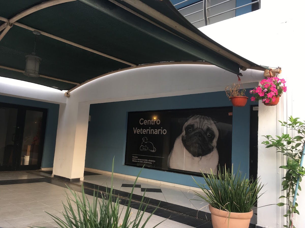 CentroVet & SPA — foto 4