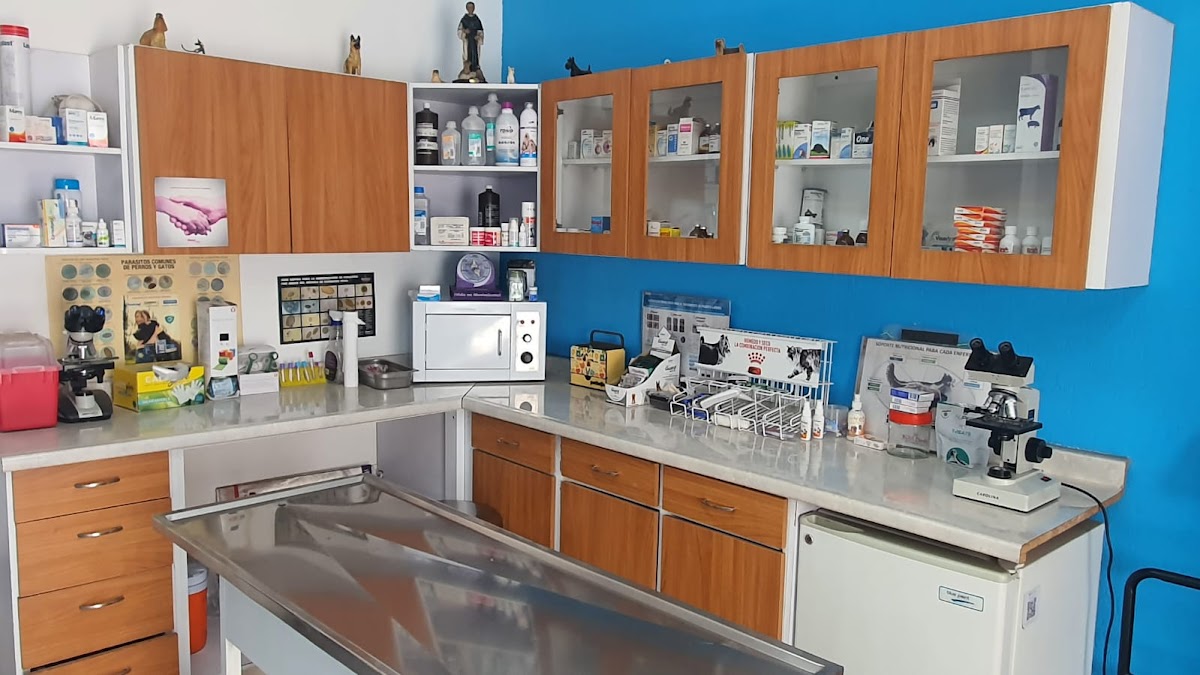 Pet Clinic Juriquilla