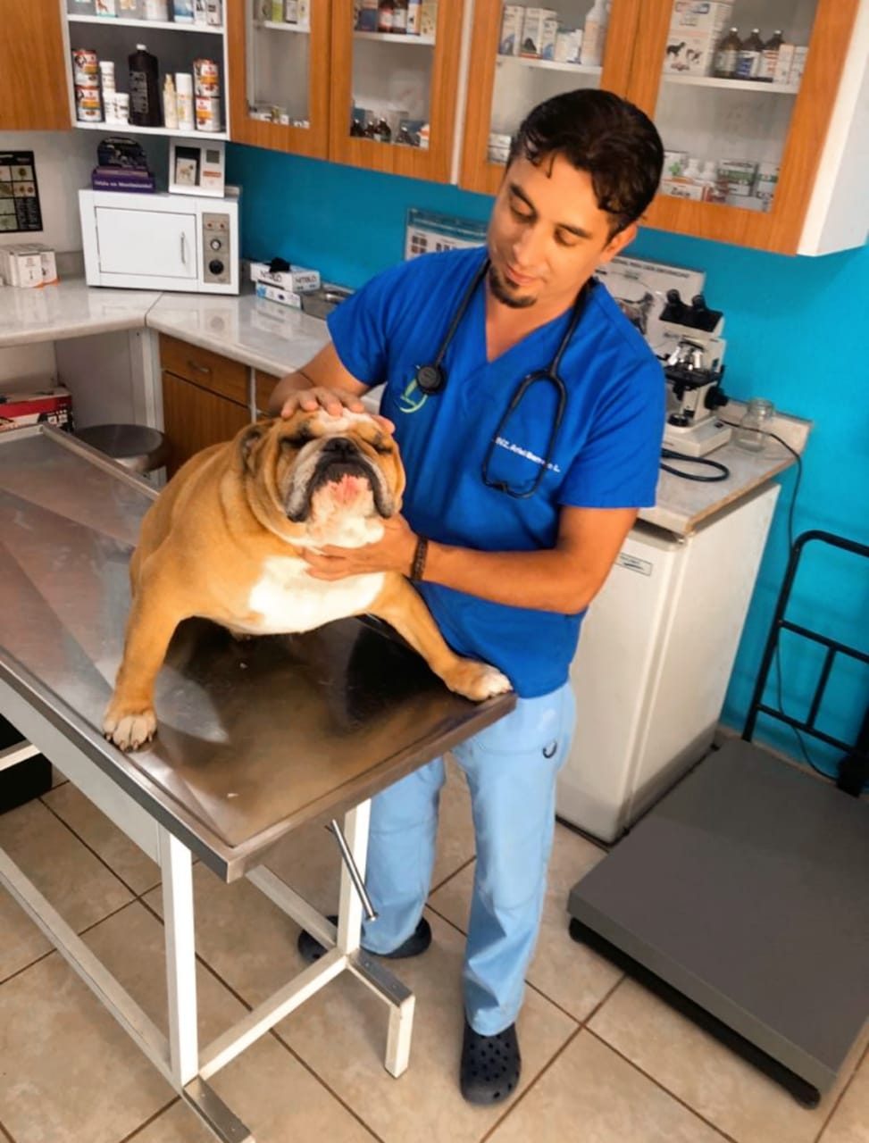Pet Clinic Juriquilla — foto 2